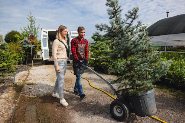 Lawn Watering Services in New City, NY